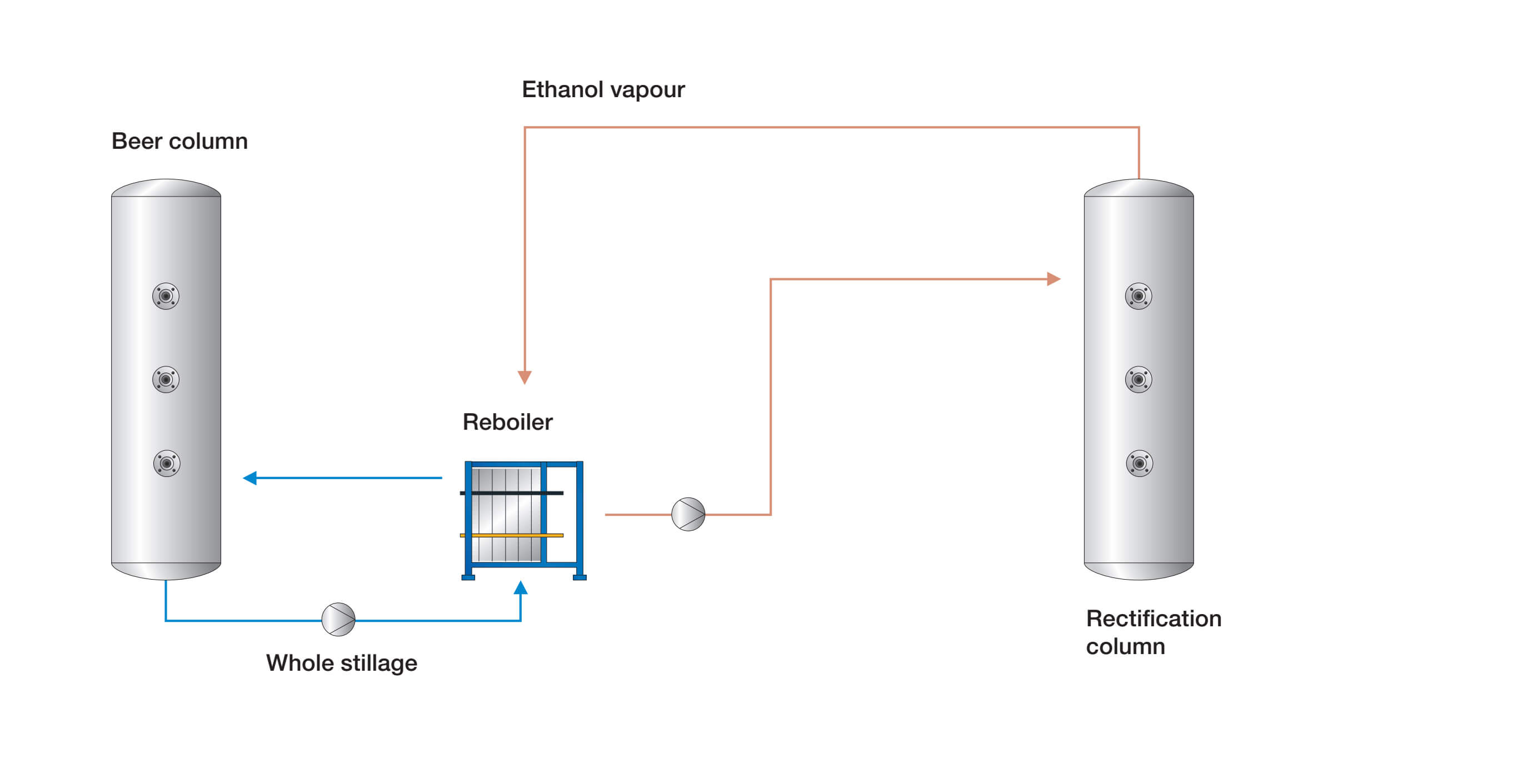 Energy-hunters-WideGap-Beer-illustration..jpg