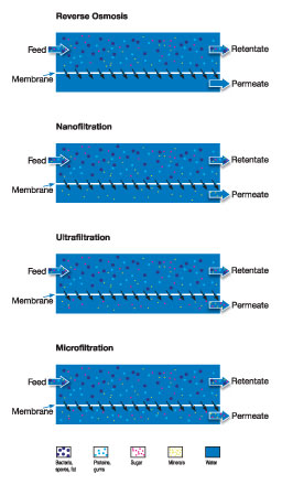 Membrane_filtration-HIW.jpg